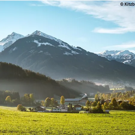 Loew 3 In The Heart Of By 360 Estates